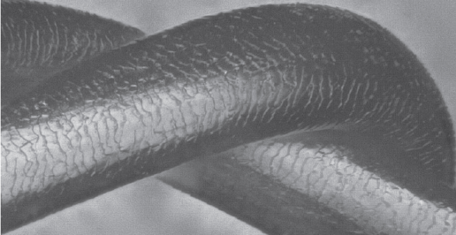 【加齢キューティクル④】髪を本質的に美しくし、色ツヤを長持ちさせる秘訣