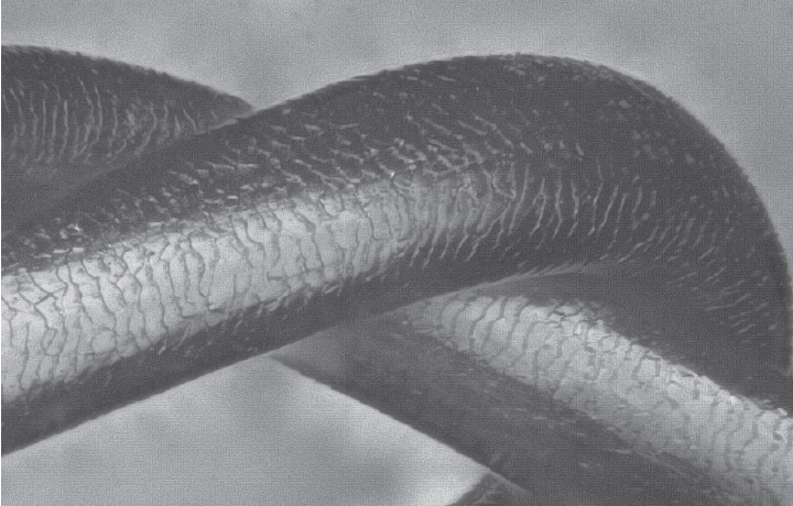 【加齢キューティクル④】髪を本質的に美しくし、色ツヤを長持ちさせる秘訣