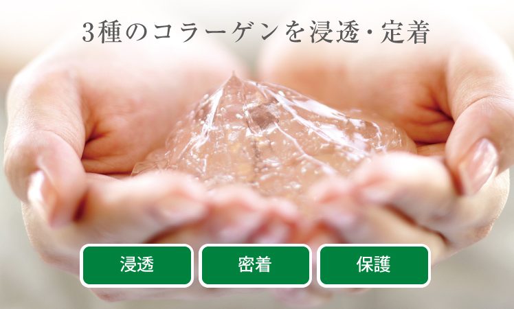 【ネイチャーディープツヤ髪エステ】3種のコラーゲンを浸透・定着するメニュートリートメント
