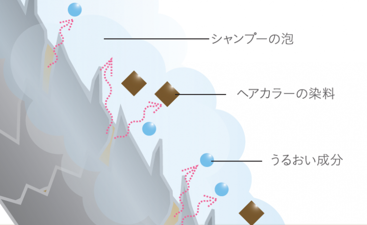 【加齢キューティクル②】ヘアカラーの色ツヤが続かない原因は「加齢キューティクル」