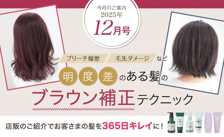 【今月のご案内12月号】明度差のある髪のブラウン補正テクニック＆店販のご紹介でお客さまの髪をキレイに！