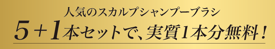 S・HEART・Sブラシ 各6本セット