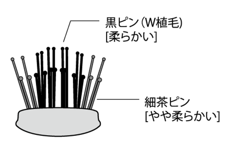 プリュス ピン構造
