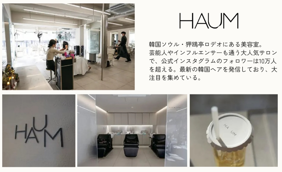 HAUM ロールブラシ 韓国風スタイル