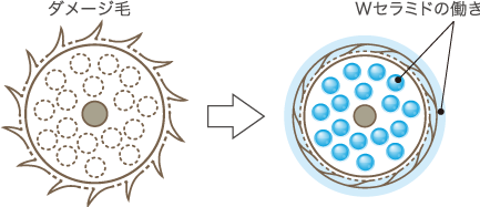 うるおいで満たして「まとまりの良さ」実現！