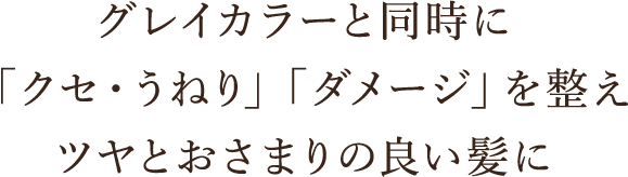 ヘアカラーと同時にツヤ・おさまりの良い髪に整えるカラーメニューシステム