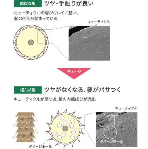 ツヤ・手触りが良い