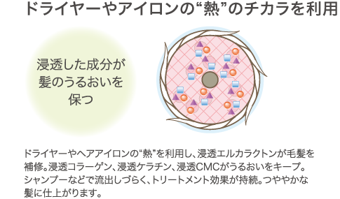 ドライヤーやアイロンの“熱”のチカラを利用