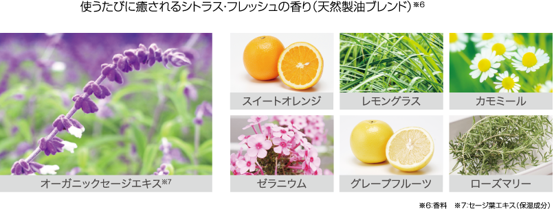 使うたびに癒されるシトラス・フレッシュの香り（天然製油ブレンド）※６