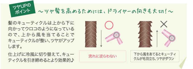 ツヤUPのポイント