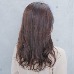 モーブ系ラベンダー