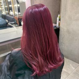 ピンクラベンダー