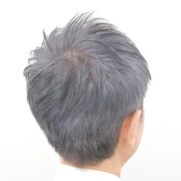 ロマンスグレイ