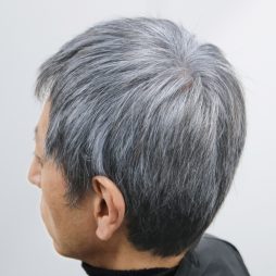 グレイヘア（黄ばみ抑え・ノンジアミンカラー）